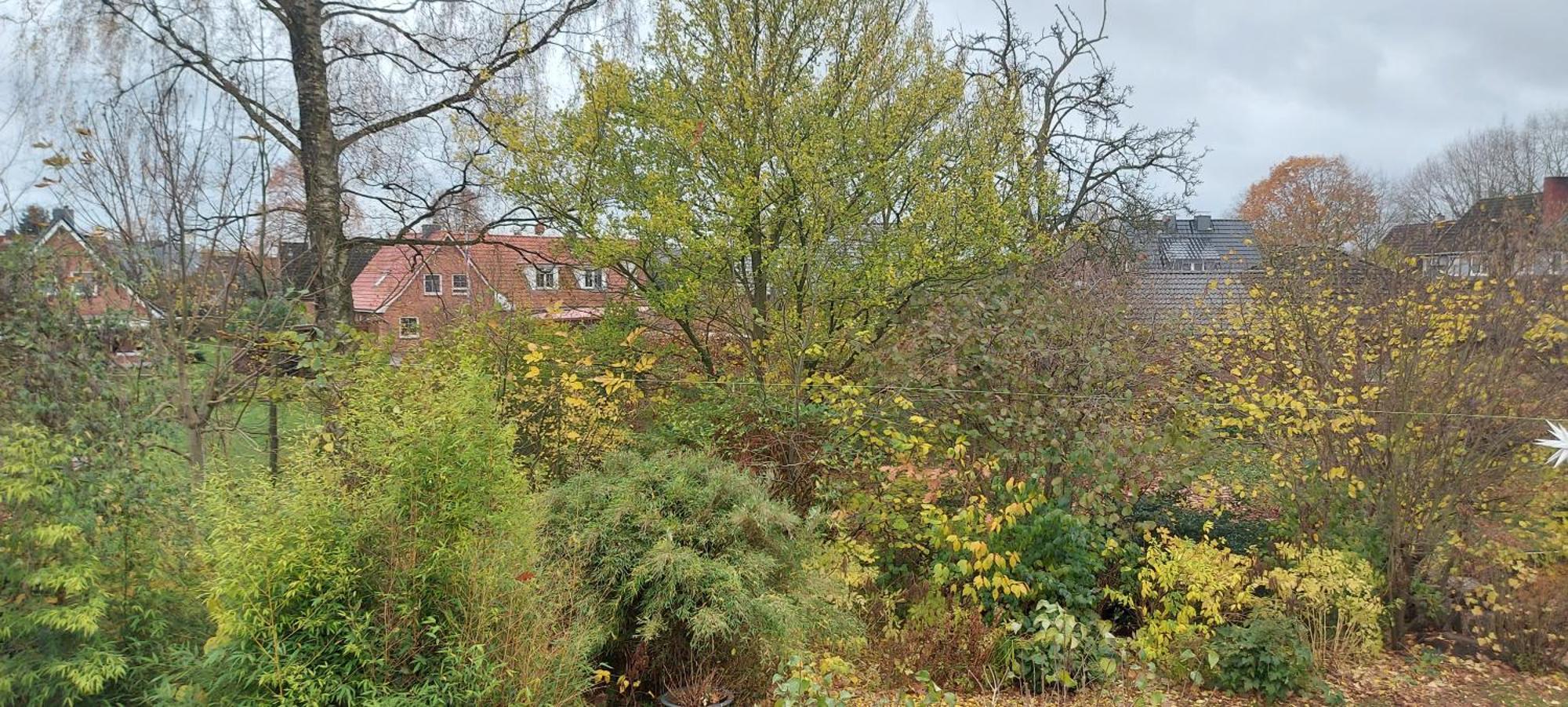 Ferienwohnung Bad Segeberg Kültér fotó